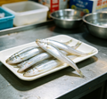 Delicate Fresh Anchovies